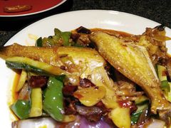 -酒肉行·虎子盐筋烤肉(大寨路店)