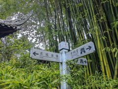 -三苏祠