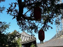 -藏龙百瀑风景区