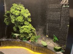 -瀚境SPA·影院足道·瑜伽按摩(景谷中路店)