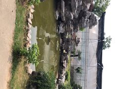 -呼吸森林·生态农庄农家乐私房菜