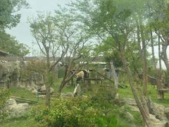 -武汉动物园