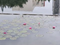 -广西大学(大学东路校区)