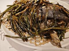 -老吉士酒家(天平路店)