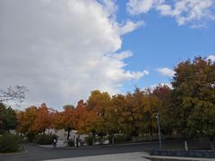 -长春世界雕塑园冰雪艺术天地