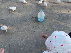 -南宫五洲植物乐园