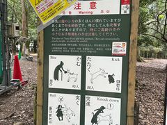 -奈良公园