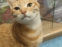 -博特宠物医院24h犬猫全科.骨科·异宠