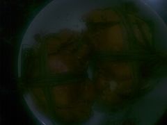 -江杨农产品批发市场