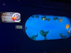 -太平洋海底世界