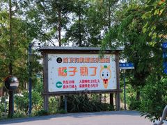-上海长兴岛郊野公园