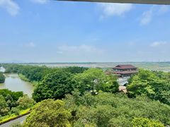 -大湾区中央湿地公园