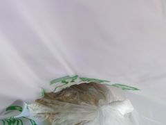 广式全蛋云吞面-袁记云饺(西安路店)