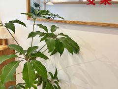 -团子君寿司·茶