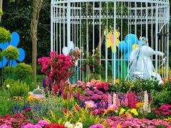 -上海共青森林公园