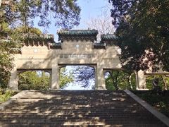 -灵谷景区