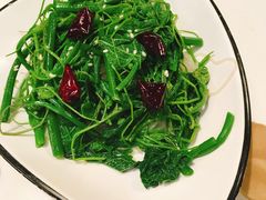 -火齐潮汕砂锅粥(五道口店)