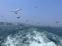 -刘公岛景区