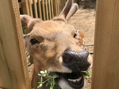 -亿利库布其七星湖沙漠生态旅游区