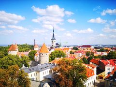 -塔林历史中心