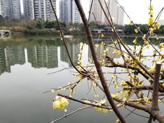 -三圣花乡旅游区