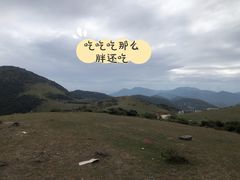 -大姆山草场