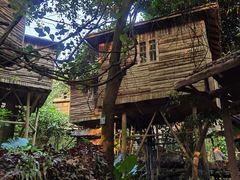 -天门沟九州驿站树上汤泉