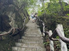 -汤旺河林海奇石景区