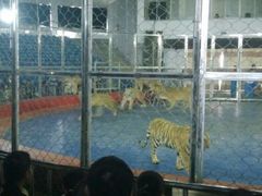 android_upload_pic-西安秦岭野生动物园