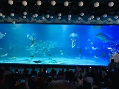 -烟台海昌鲸鲨海洋公园