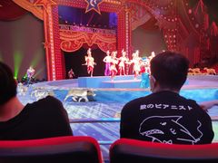 -珠海横琴长隆《卡卡虎奇遇记》