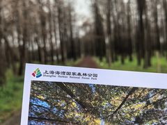-上海海湾国家森林公园
