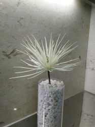 -木槿医学整形皮肤护理