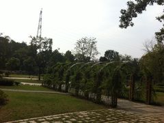 62-南京特殊教育师范学院(燕子矶校区)