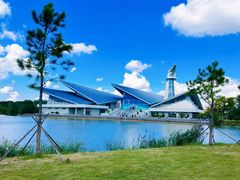 -盐城丹顶鹤湿地生态旅游区
