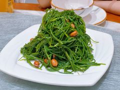 -靖远尕六美味羊羔肉