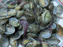 -叶存利海鲜大馅饺子(海宁路总店)