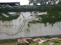 -金庸书院