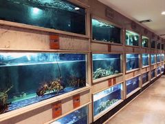 水产区-顺峰(农展馆店)