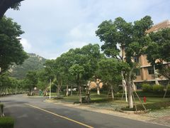 -厦门国家会计学院