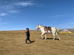 -青海湖国家重点风景名胜区