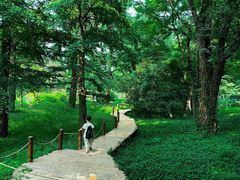 -国家植物园南园