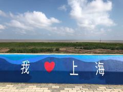 -南汇嘴观海公园