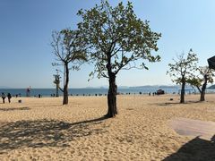 -大梅沙海滨公园