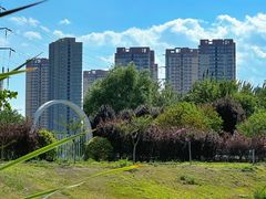 -西安浐灞国家湿地公园