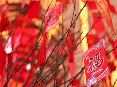 -上海浦东嘉里大酒店