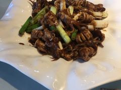 -大清花饺子(五五路店)