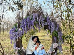 -上海海湾国家森林公园