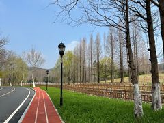 -棒棰岛宾馆景区