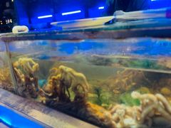 -V-ONE西雅图海鲜自助餐厅(仓山万达广场店)